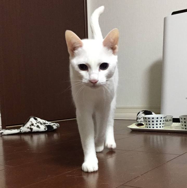 C15ccdbf 990d 4a85 ae4f 55770fe18761