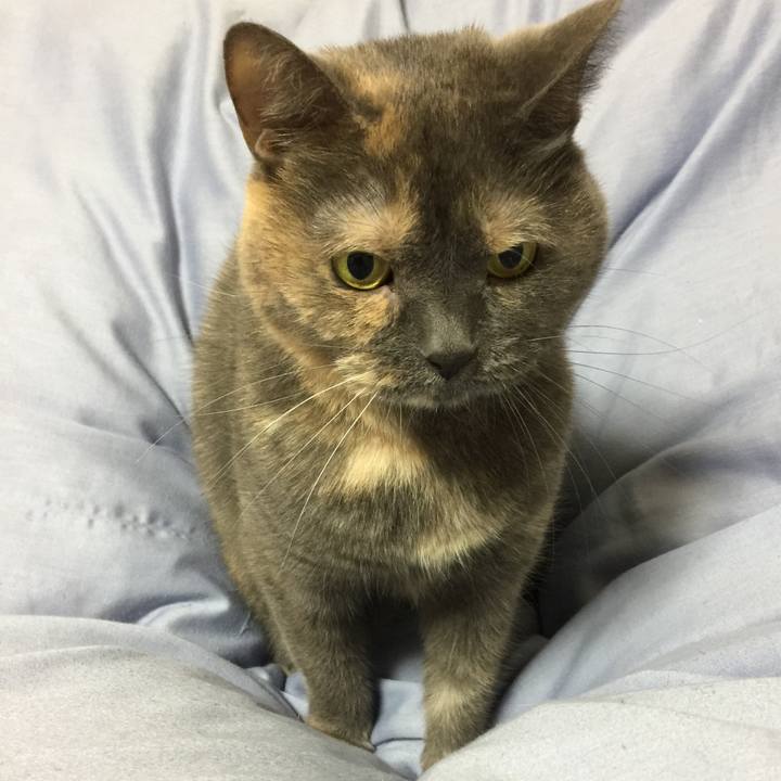 C15d2f0e 292f 440a 92cb d34259a4c07d