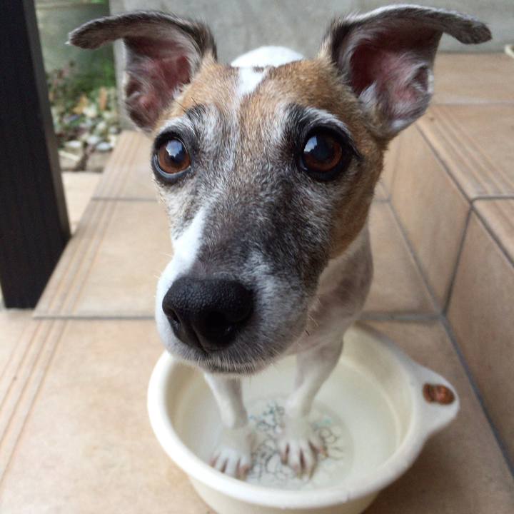 C15d3147 0be3 4af3 8b1e dfaf75aa0b85