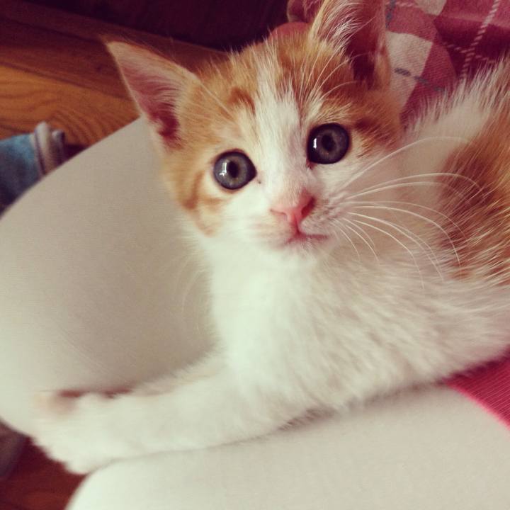 C15d423d 3e1d 4aa9 8dc7 3b1e9c505623