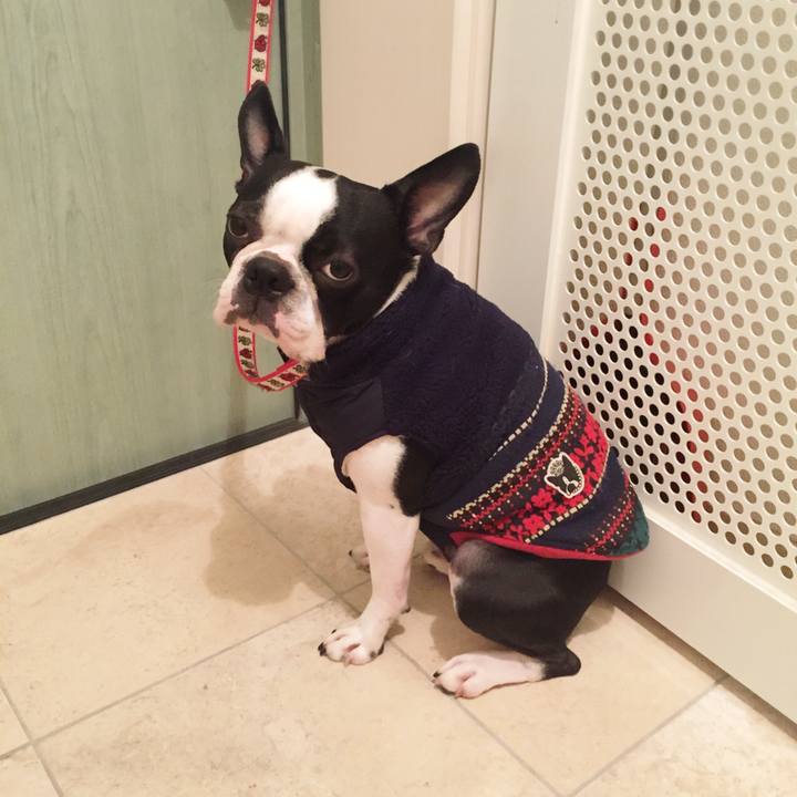 C15d9f75 8843 468f 9694 4759a117c5ce