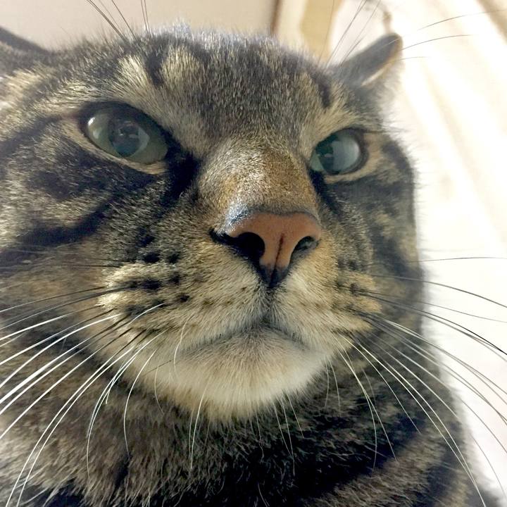 C15de118 cc75 4db5 a449 11369a0017a0