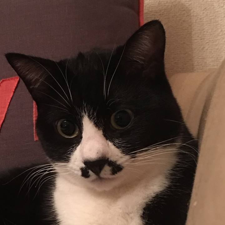 C15e960b 496e 495b 8982 aac7901b4182