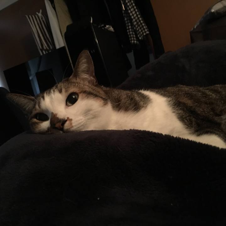 C15f5117 7c24 4879 b578 c8d87cefba38