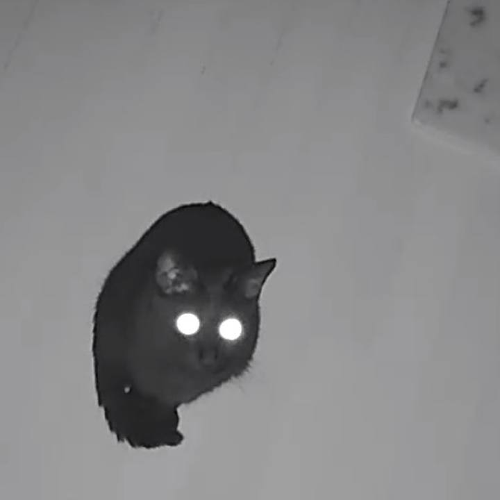 C15f91af 9803 49ec 89fc 0e7c62985124