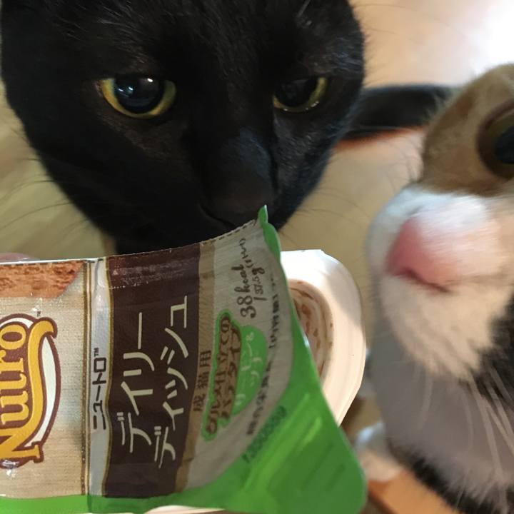 C15fab27 b246 4fa2 b77c bde900defcb5