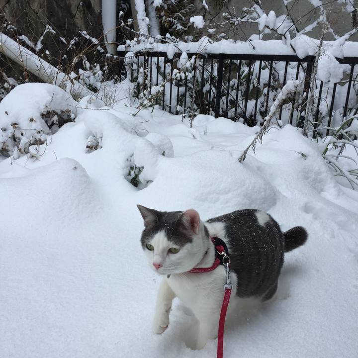 C15fac6f 2e98 4bec 83b3 8918b7bc99b7