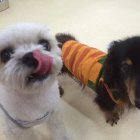 C15fce59 e4b5 4fa3 b378 44763650d151