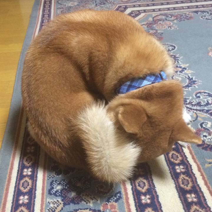 C1615773 af18 4dd4 b7c3 75fb1fd652e3