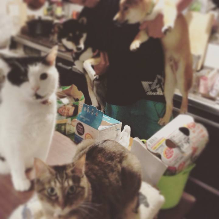 C1618d85 e35c 4f53 944d 6fcf78b8e953