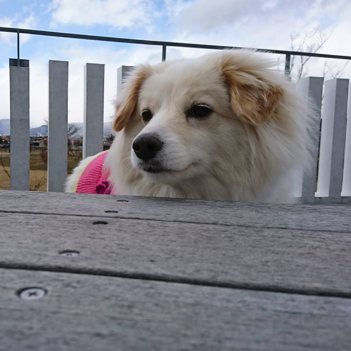 C161b2f7 ba9b 4bdf bbd6 242ebf11c12a