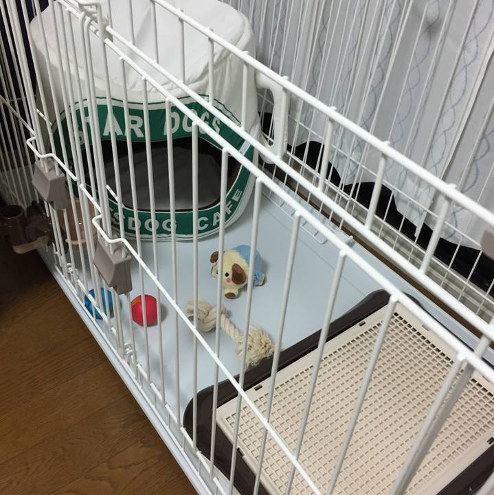 C1620744 d719 44eb 93f9 fbd7a14b54c8