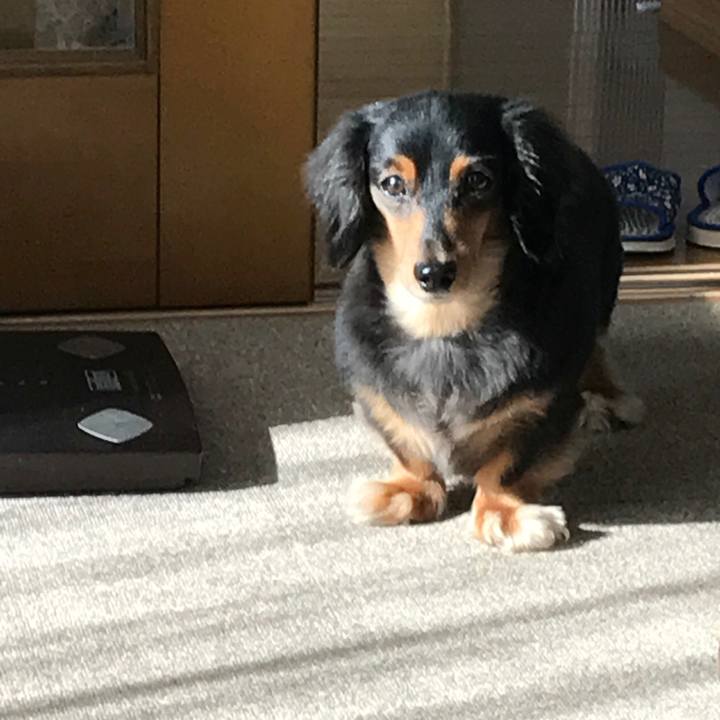 C162d69a 811f 4885 86a9 e3721190fecb