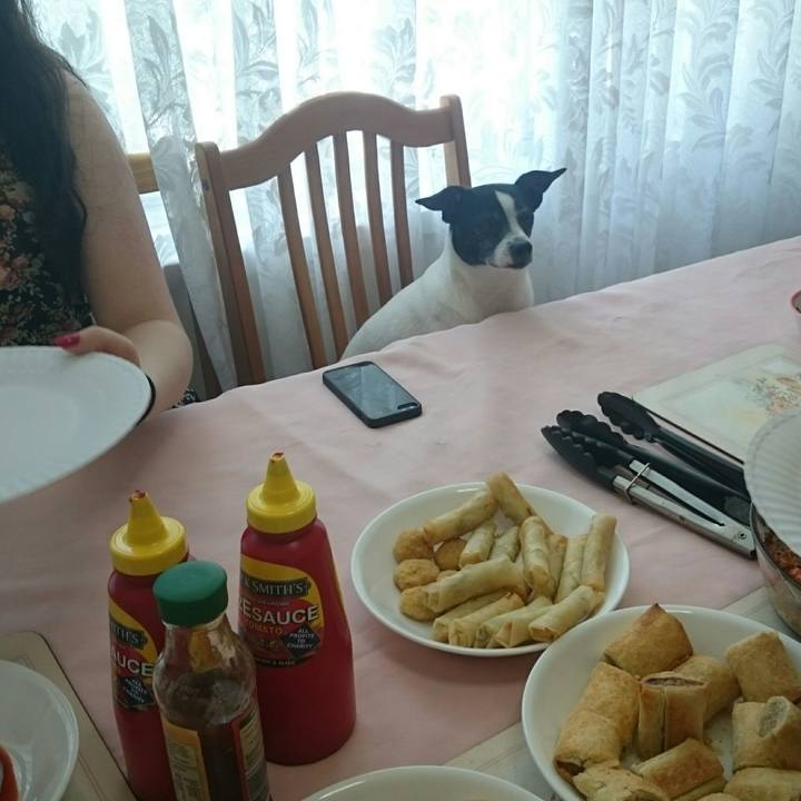 C162d9c4 92e5 4435 9862 7ddacbdd0dc0