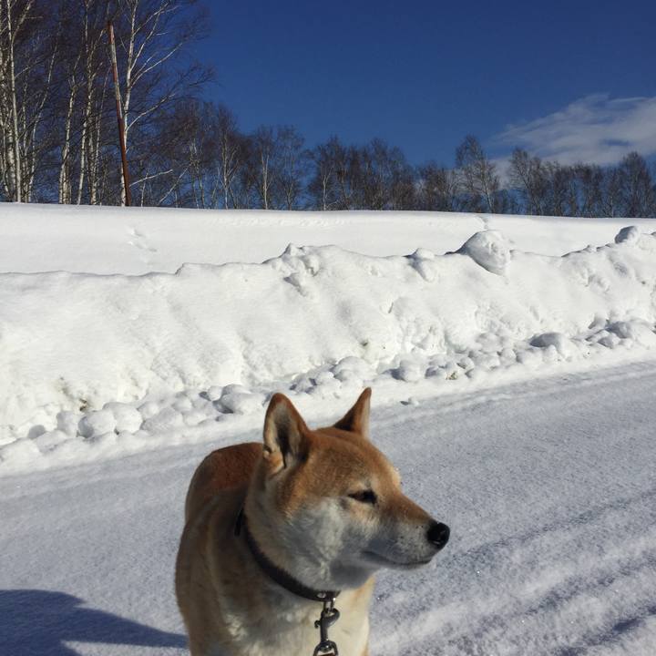 C1636aee ee77 4190 8f70 96f711c55d80