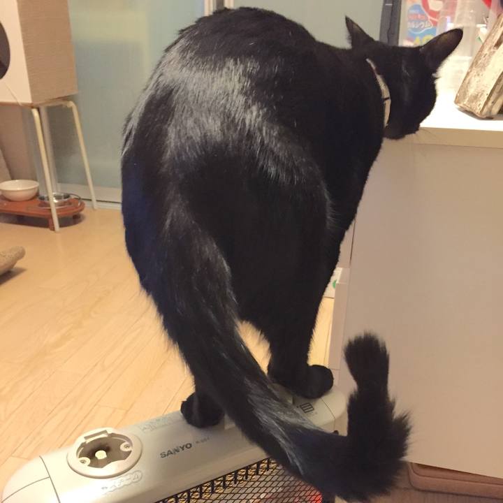 C1644d85 7a0e 44a4 a02d 659b45df8f70