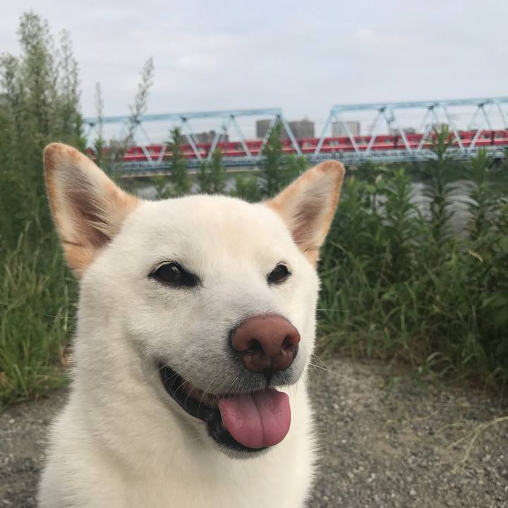 C164d633 7aca 4e0a a23a 1607460a5a9b