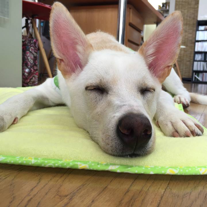 C16501a4 d8ba 4020 b20e 0672445c9403