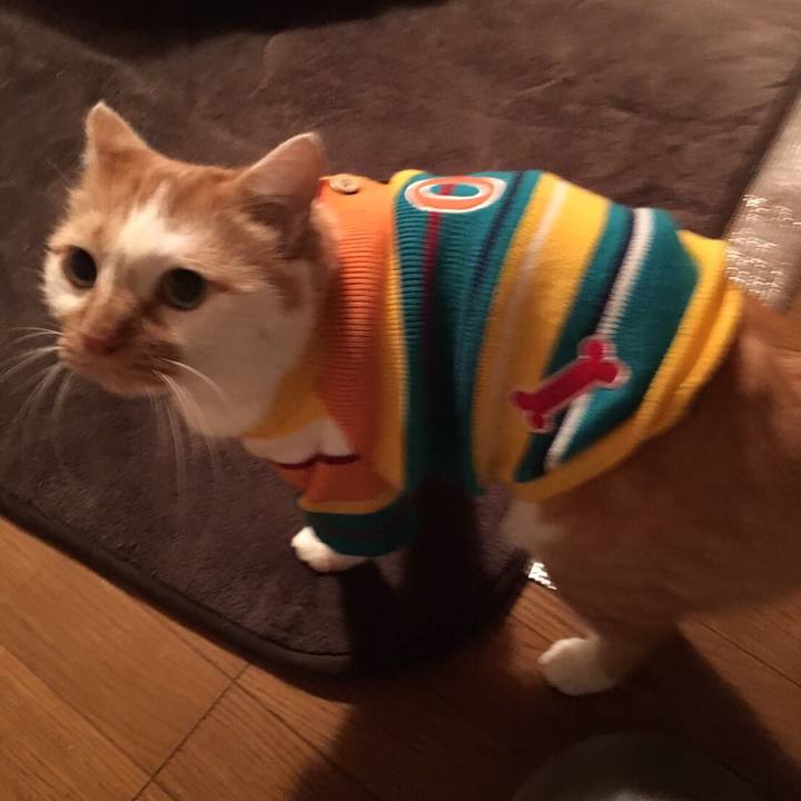 C165d536 aa7d 4ed5 82d0 01541af38135