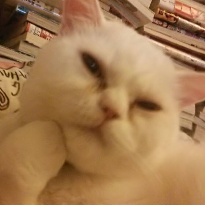 C165eb7d 1ad2 4a73 a872 6b0e566a4a94