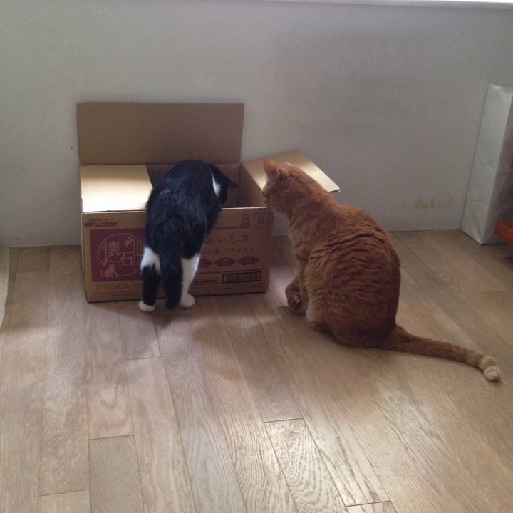 C1660499 a1cd 4401 b620 3b13078f85ef