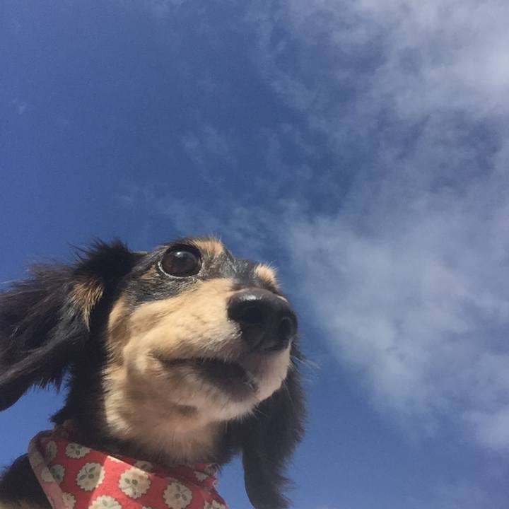 C166f91b 194a 4f46 a038 1b4f62878c07