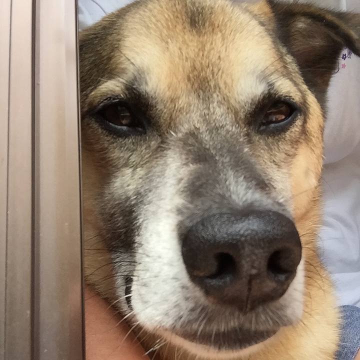 C16749a8 9aeb 42f3 8920 89b670bfb63e