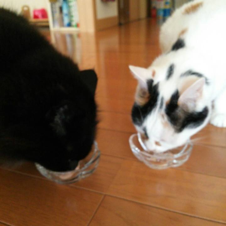 C168c667 d427 4a54 9833 3a592362b71b