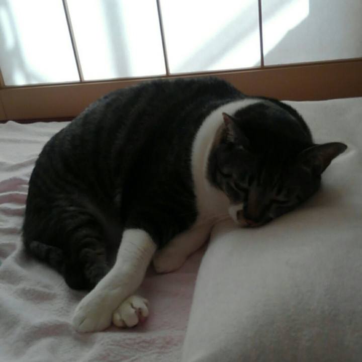 C169a6d8 ee49 405e b21f ce30ad34492e