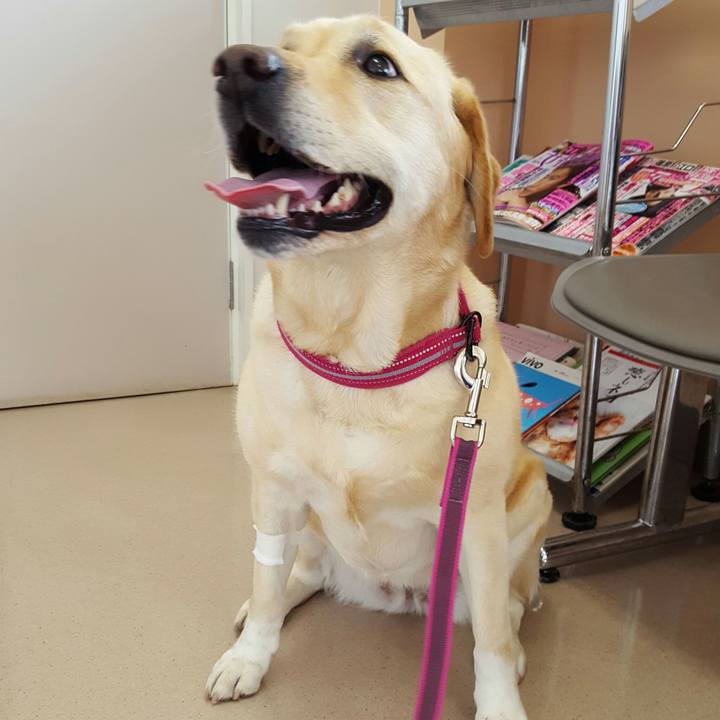 C169a84a 575f 4099 819b d22b89fe74a1