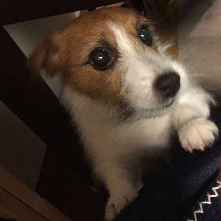 C16a1da7 6bc6 4202 a119 4bc25ee7e633