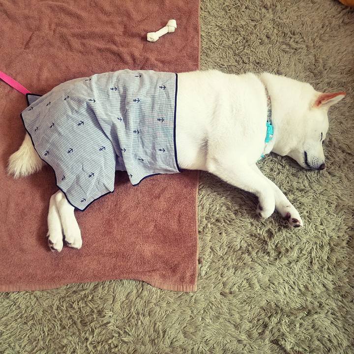 C16a3956 56e2 4fb7 8ee3 cd83c9f1d03d