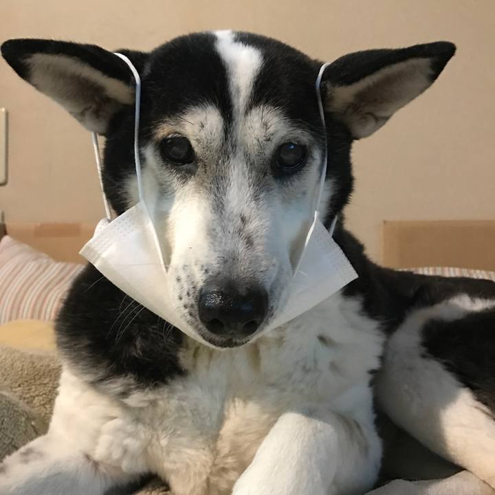 C16a429c ed3d 4a74 83de 94a9348e896d