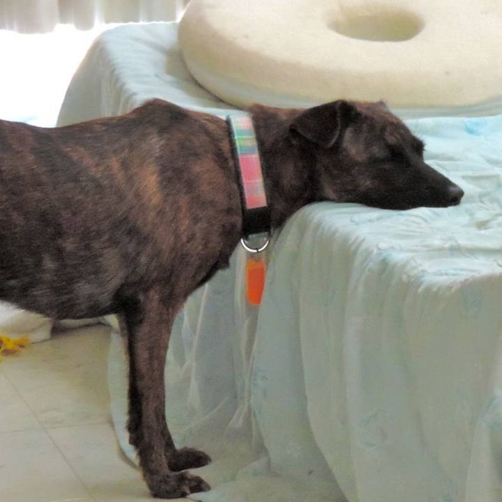 C16b44a2 42fb 4524 a3dc 49672d44d658