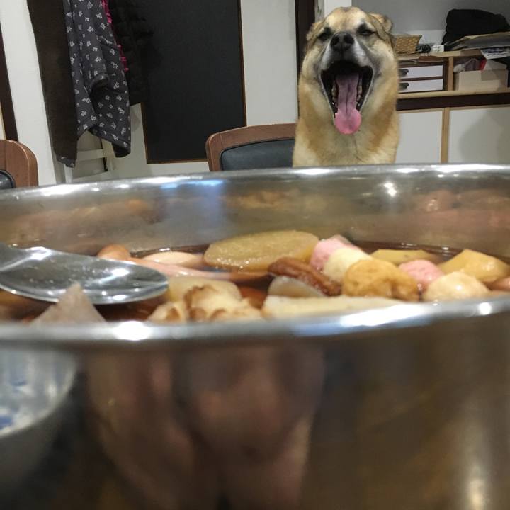 C16c14af 3aed 4a88 b289 9e28b7f45e66