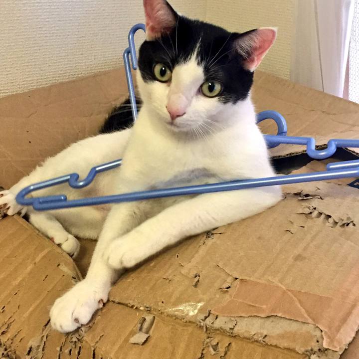 C16c1f30 41ba 4904 b84e 4a0d1b22c794