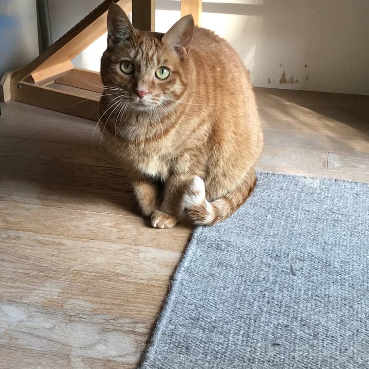 C16de6ea 3b20 4d1f b3e6 b431cac840dd