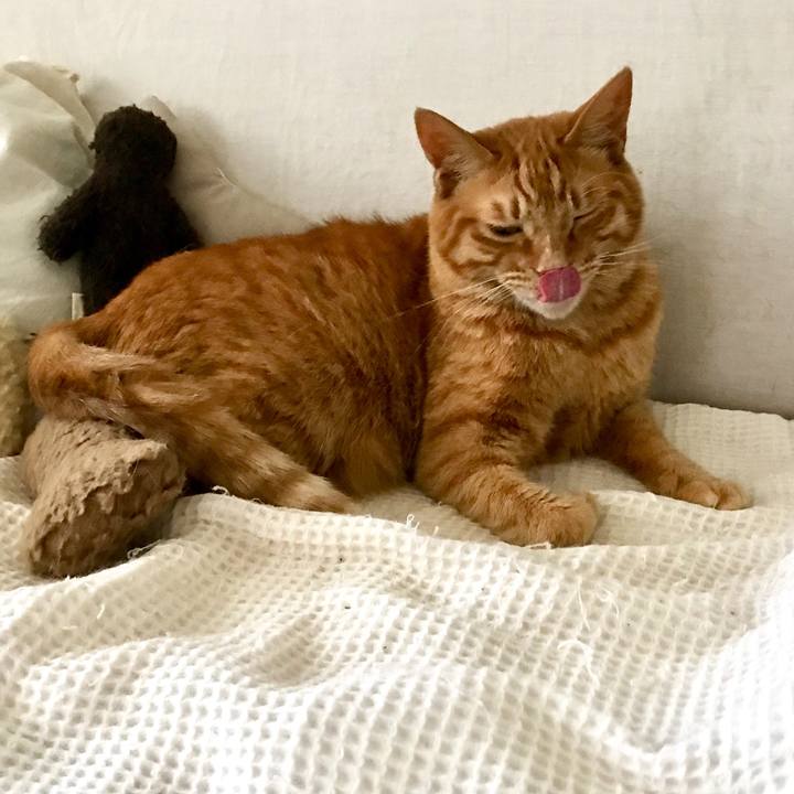 C16e152d f5c4 4f6d a96a f8535e44178c