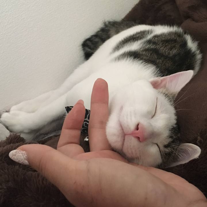 C16e385c 5249 4a10 9746 f0865e8feec0