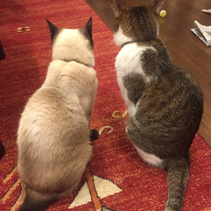 C16e60d5 612b 4ea7 b22d 4b496495d508