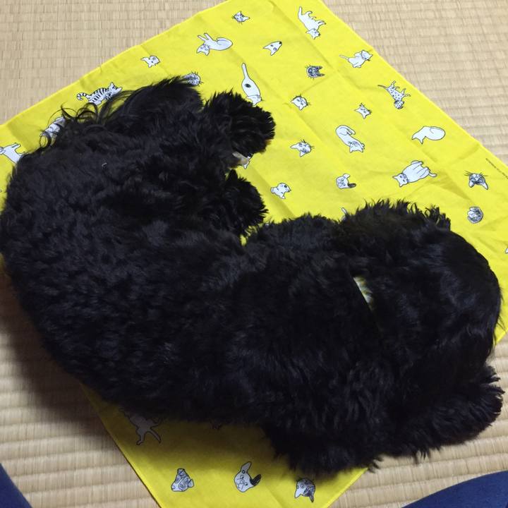 C16ea5c0 6cd9 4626 a6ea e95b7bb86d37