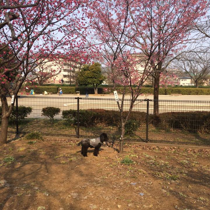 C16fc183 9403 4162 89d6 12399f48b838