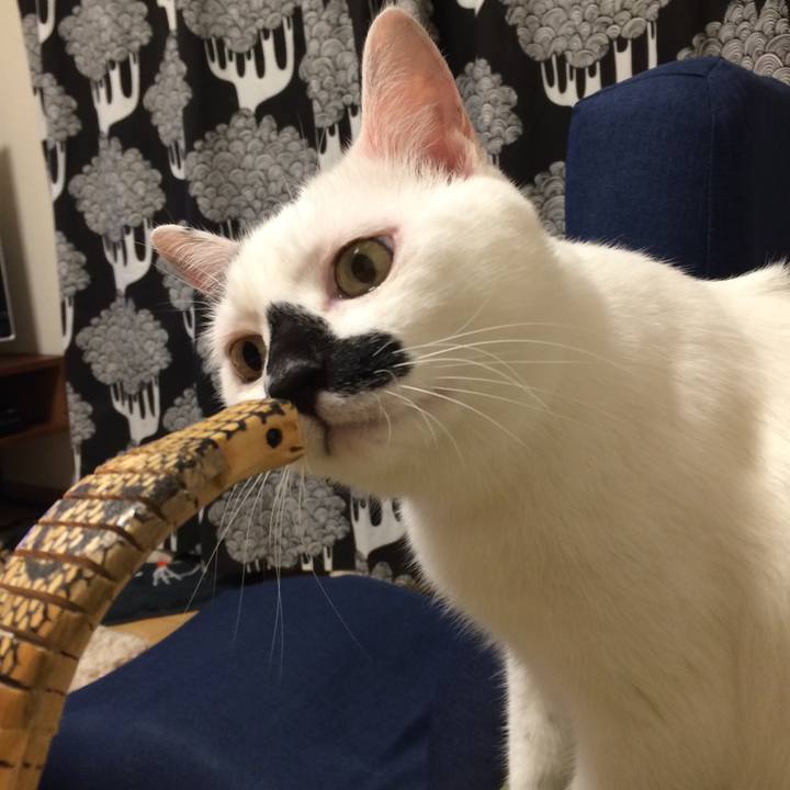 C16febcc 9b93 48b7 8a00 88b3f0352b3c