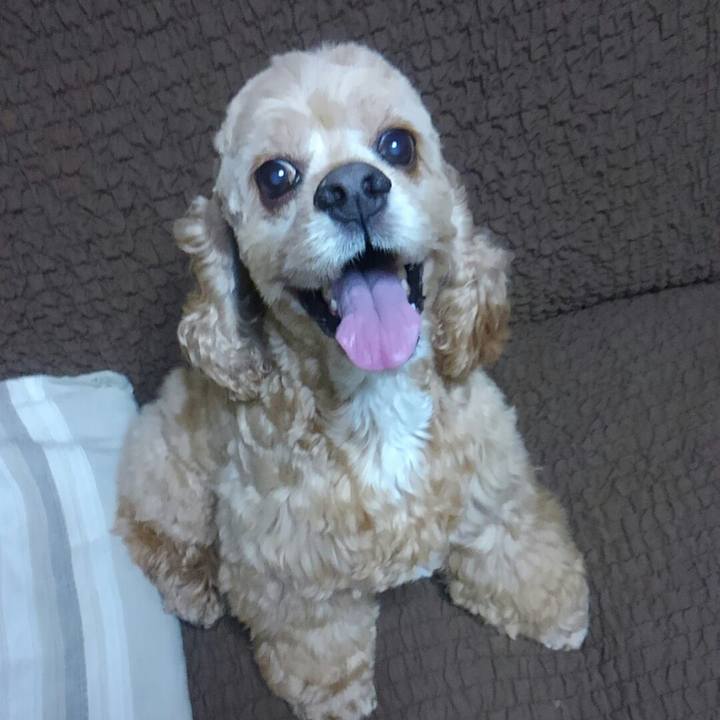 C1702a15 508f 457d 9adf 6a08d3988513