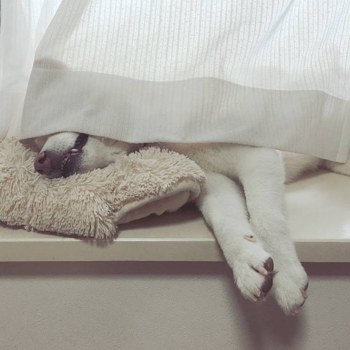 C171a274 9e67 4c3b 95ed 87a471e94b0d