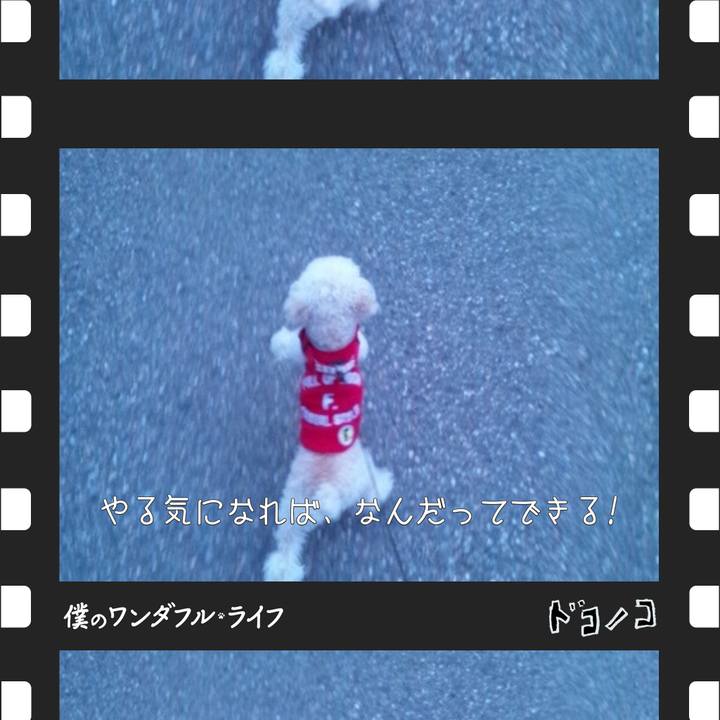 C171ea6b bfa5 4e59 8fd3 cc9467d5ab01