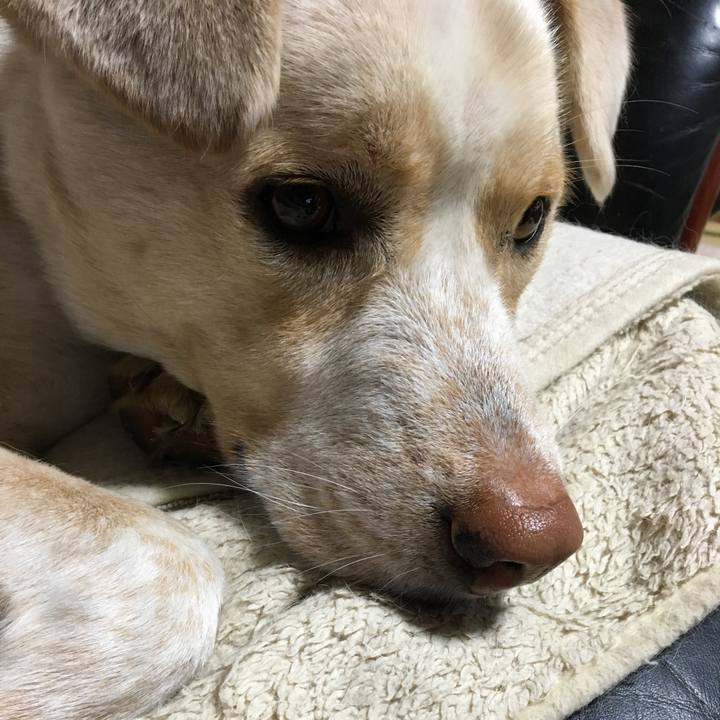 C1725969 07df 4094 9c43 4d8830a29f12