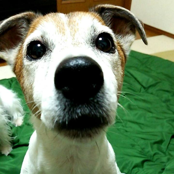 C17335e5 89b6 422c b571 df4f6caa256a