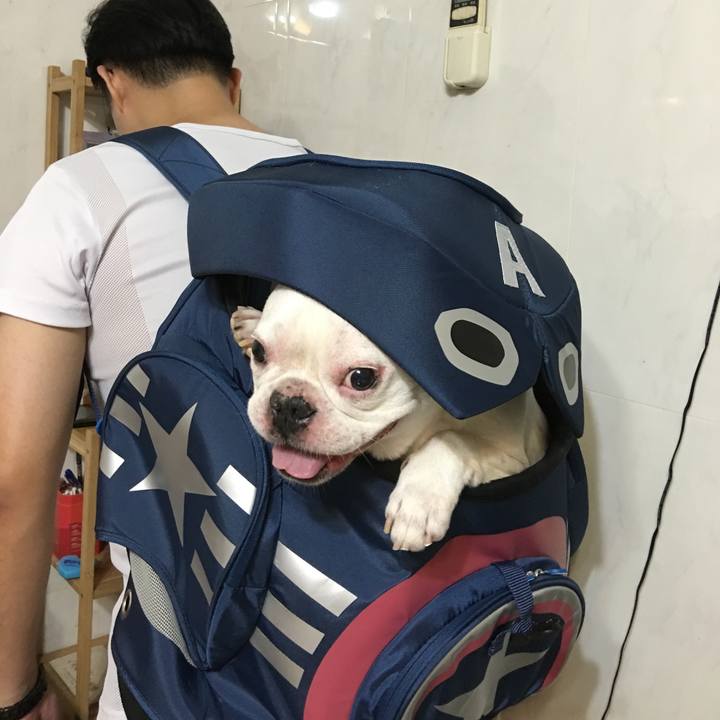 C1733834 fb05 4ba7 b862 74841185e57e