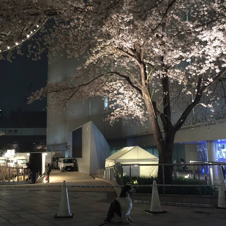 C1737a10 c89a 43a1 a9ea 37f7fc39bb82